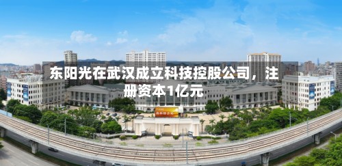 东阳光在武汉成立科技控股公司	，注册资本1亿元-第2张图片