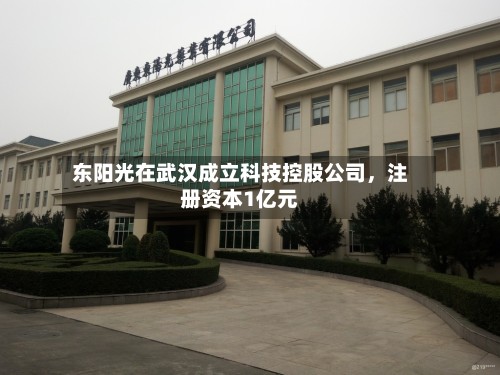 东阳光在武汉成立科技控股公司,注册资本1亿元