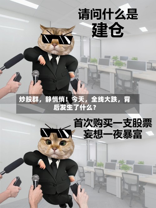 炒股群，静悄悄！今天，全线大跌	，背后发生了什么？-第2张图片